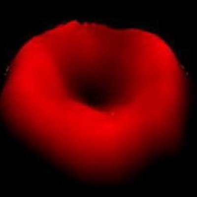 The quantitative light imaging laboratory at UIUC develops novel label-free optical imaging techniques for biomedical applications.