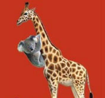 KingKawieli's profile picture. Digital/Mobile Marketing, Music, Media ...