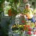 Vmorolo1954 (@vmorolo1954) Twitter profile photo Vmorolo1954 (@vmorolo1954) Twitter profile photo