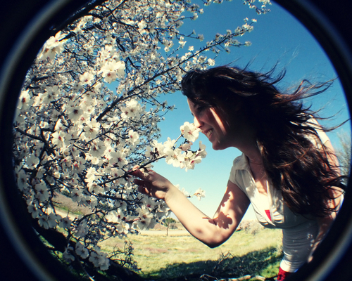 steelrose's profile picture. Techie geek, photographer, violinist, mac user, movie fanatic