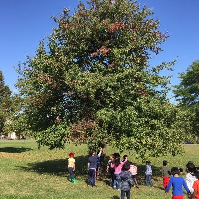 MarniStoch's profile picture. Early years educator in Peel. She/her.