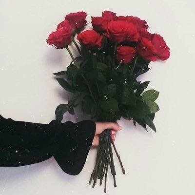 ...لا تسّتهين بي كي لا تُهان|👑