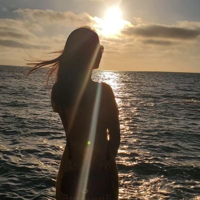 ychzh26's profile picture. 