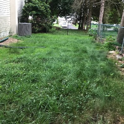 Shawnfitz101's profile picture. 