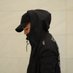 C. Mars (@sundayblyes) Twitter profile photo C. Mars (@sundayblyes) Twitter profile photo