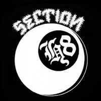 SECTION H8(@SectionH8) 's Twitter Profile Photo