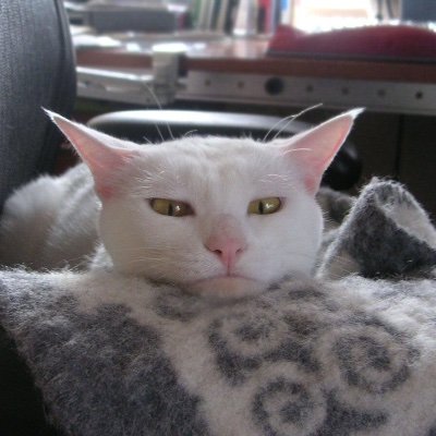 うみうしせぶんさんのプロフィール画像