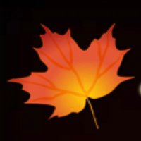 The Lost Leaf 🍁 (@thelostleaf) 's Twitter Profile Photo The Lost Leaf 🍁 (@thelostleaf) 's Twitter Profile Photo