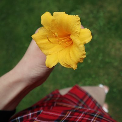 sweetsug4r's profile picture. a poet lost at sea.