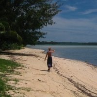 Rebecca Monson🌱@rebeccamonson@aus.social (@rebeccajmonson) 's Twitter Profile