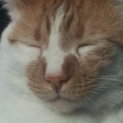 Gavin_Zerrato's profile picture. Really wish I was 6'5