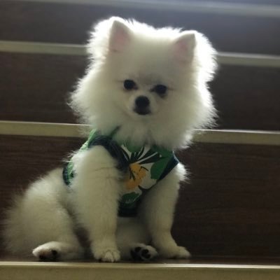 BFreeclass's profile picture. 