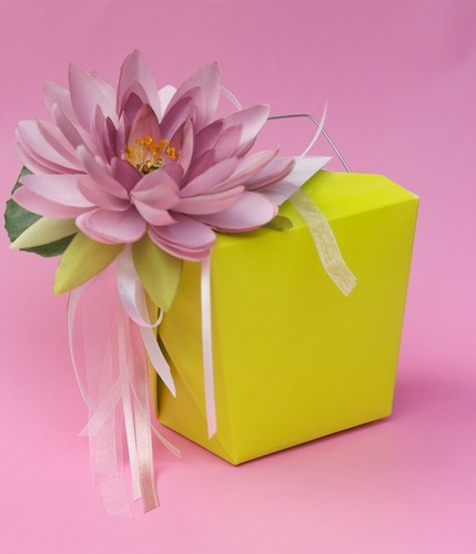 Gift wrapping services, workshops and inspiration from Corinna vanGerwen. This is a feed of the Corinna Wraps blog + news. Follow Corinna @vangerwen