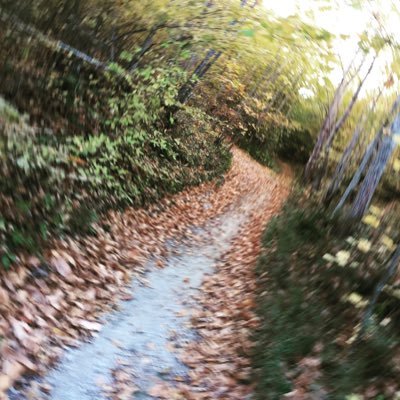 Miticoval's profile picture. 