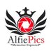 Alfiepics (@alfiepics) Twitter profile photo