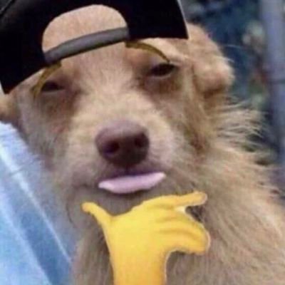 elvisveez's profile picture. 