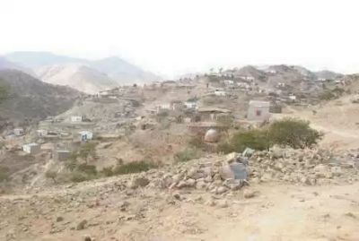 Ashebr14's profile picture. 