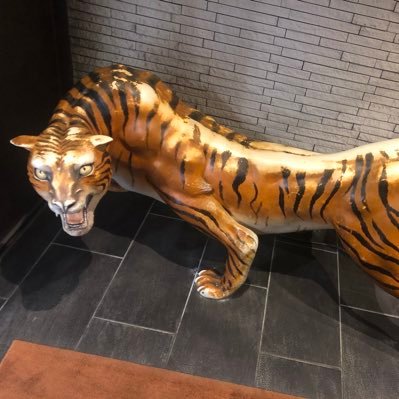 haevenkabukicho's profile picture. 契約店舗数No.1 全国どこでも対応させていただきます！ / 風俗 / デリヘル / AV /