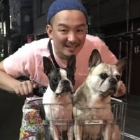 ど〜にもブルドッグ　随時スタッフ募集中 (@doonimobulldog) 's Twitter Profile Photo