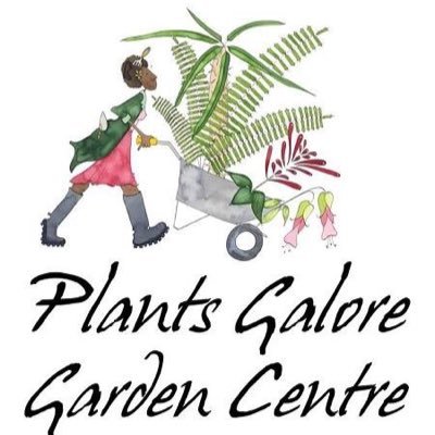 A small garden centre based in the leafy suburbs of Nairobi, Kenya WhatsApp / 📞 +254769725357
