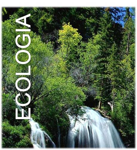 Ecologia è un blog dedicato a tutti coloro che vogliono migliorare il futuro del nostro Pianeta, informandosi e condividendo spunti utili.