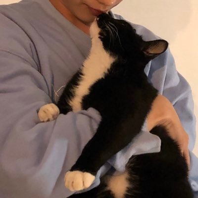 514All's profile picture. 