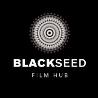 Black Seed Film Hub(@seed_hub) 's Twitter Profile Photo