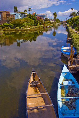 optimus1865's profile picture. Designer, Photographer, Engraver, Multimedia Developer & Programmer... always exhale the facts, cuz I don’t inhale lies.