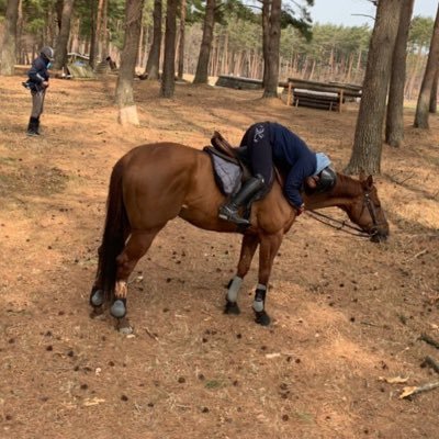 hanamizuki161's profile picture. 新潟競馬場/カワキタトップ&ユールシンギング/新商→東海大学/ポッド😊