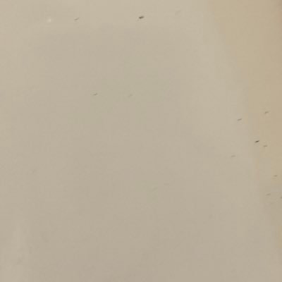 follow1millionn's profile picture. my goal is the follow 1 million people