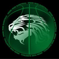 Spring HS Girls Basketball-TX-6A (@ladylionbb) 's Twitter Profile