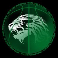 Spring HS Girls Basketball-TX-6A(@LadyLionBB) 's Twitter Profile Photo