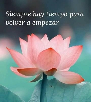 tendría que tener 1000 vidas para hacer todo lo que quiero. Licenciada en derecho. Amiga de mis amigos. Paciente, independiente y muchas cosas más