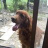 koutaee's profile picture. 仕事、プライベート兼用アカなので、人によっては不要なつぶやき発信お許しください。