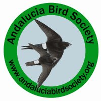 Andalucia Bird Society(@society_bird) 's Twitter Profile Photo