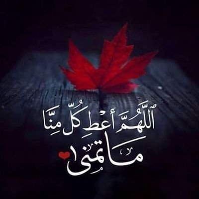 Mh8871's profile picture. 