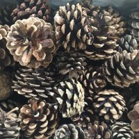 Shoreside Nursery & Pre Nursery (@shoresidenur) 's Twitter Profile Photo Shoreside Nursery & Pre Nursery (@shoresidenur) 's Twitter Profile Photo