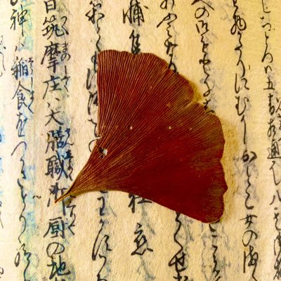 琥珀堂 元京都の山椒魚 Kohakudou412 Twitter