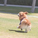 He Yifeng - @HeYifeng5 - Twitter