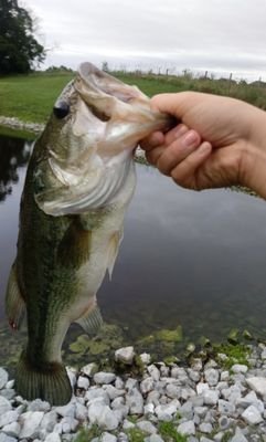 TrentonConley4's profile picture. 