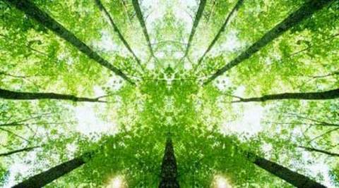 Equiterre_news's profile picture. News about Equiterre