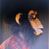 jöe (@whateverfiq) 's Twitter Profile