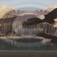 The Talon-Gray Collegiate Academy (@thetalon_gca) 's Twitter Profile