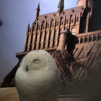 さくら餅 (@r2mjf1emsccd86j) 's Twitter Profile