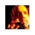 Landodog (@landodog) Twitter profile photo Landodog (@landodog) Twitter profile photo