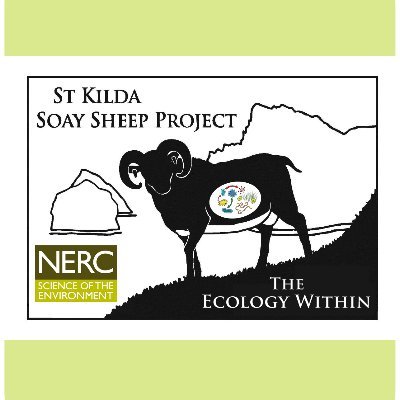 Soay Ecology Within Project
