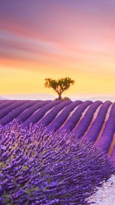 Passionné de nature et de cuisine ! :)