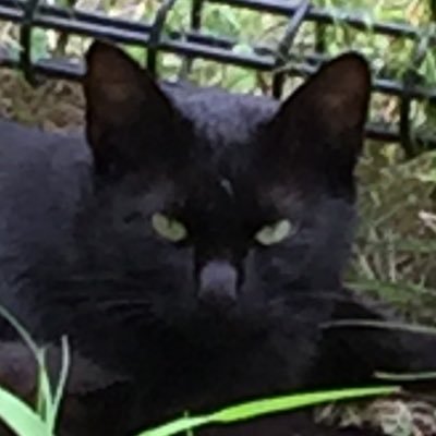 Visit 黒猫冠者 Profile
