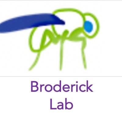 Twitter account for @nabroderick lab. Flies. Microbes.