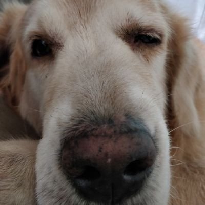 gatzieee's profile picture. Wierd.